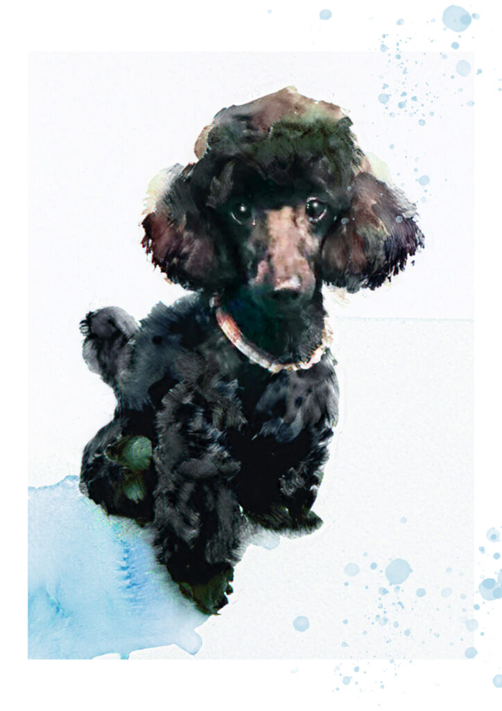 alt="alt="高知土佐ペット霊園は本格寺院にて僧侶の読経と共に静かにご葬儀ができる場所。ペット火葬、供養、お取引やお骨のお届けも承ります。ペットの永代供養や共同墓地でのご供養も。ペットちゃんの肖像画を無料で制作いたします”